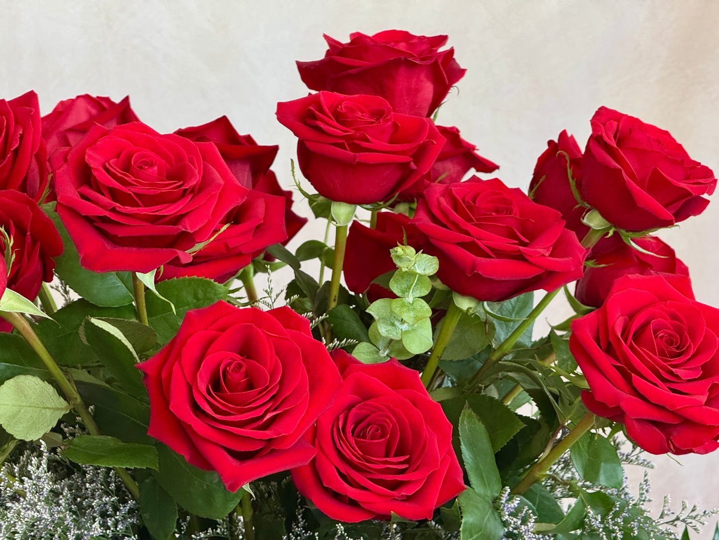 Dos docenas de rosas rojas