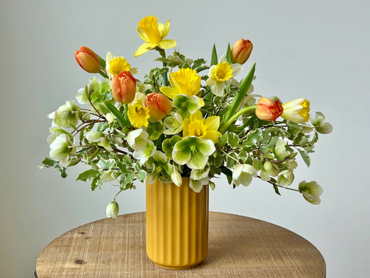 Futura - Daffodil flowers spring arrangement