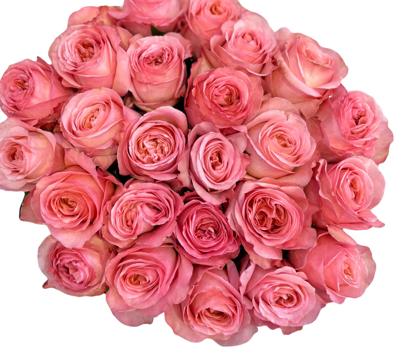 Una docena de rosas rojas